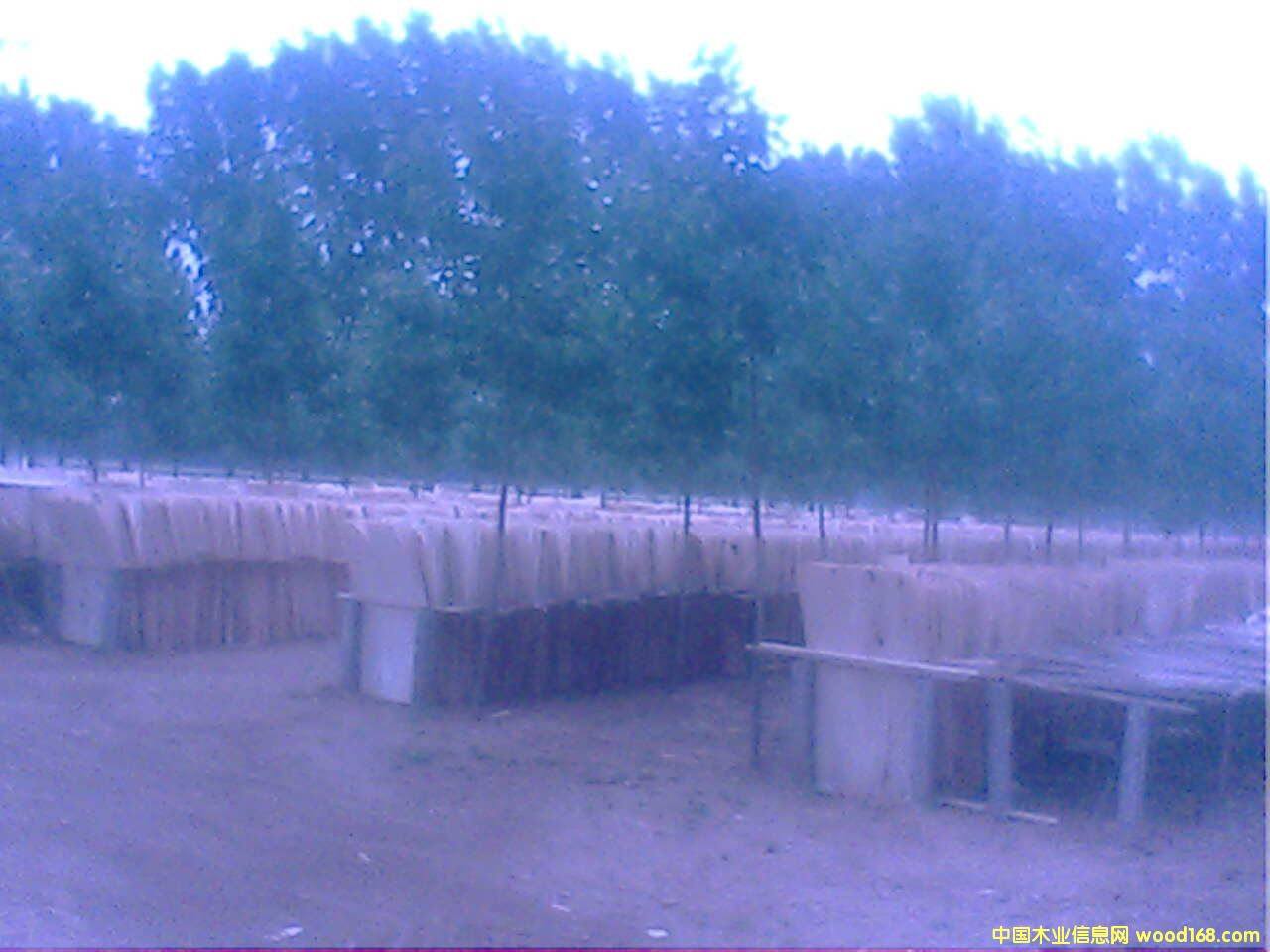 ��ľ�ΰ��Ԕ����B