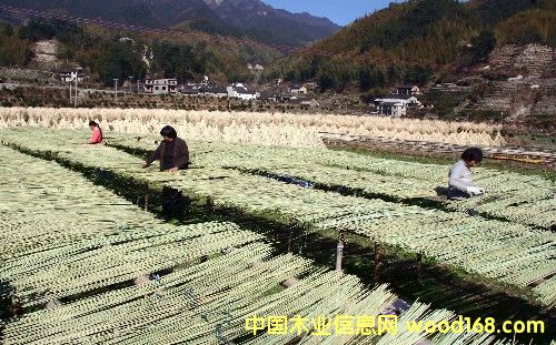 ��z��Ԕ��(x��)��B