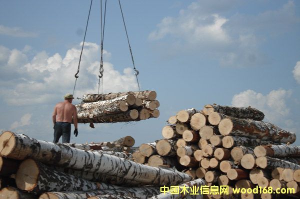 ���_˹�ט�2