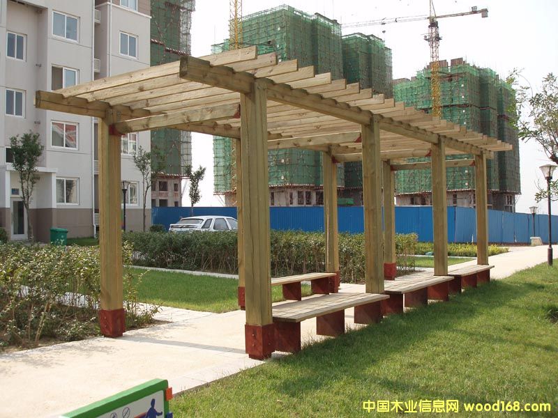 ����ľ����