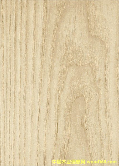 �c���鿴����Ŵ�DƬ