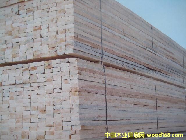 SPF��ĵ�Ԕ����B