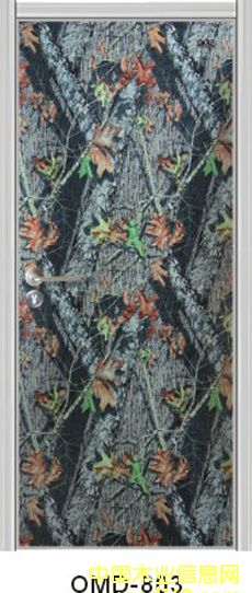 ���B(t��i)�T