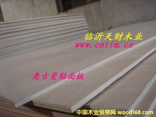 �W������׶��Ӱ�