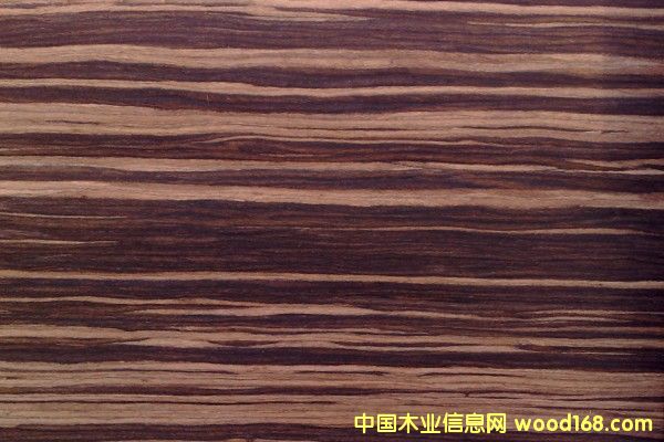 ��̴�Ƽ�ľƤ��Ԕ��(x��)��B