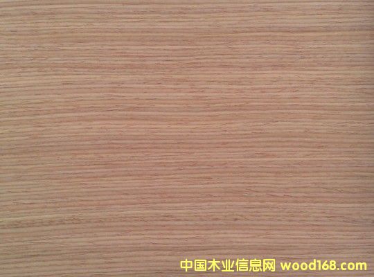 �t��Ƽ�ľƤ��Ԕ��(x��)��B