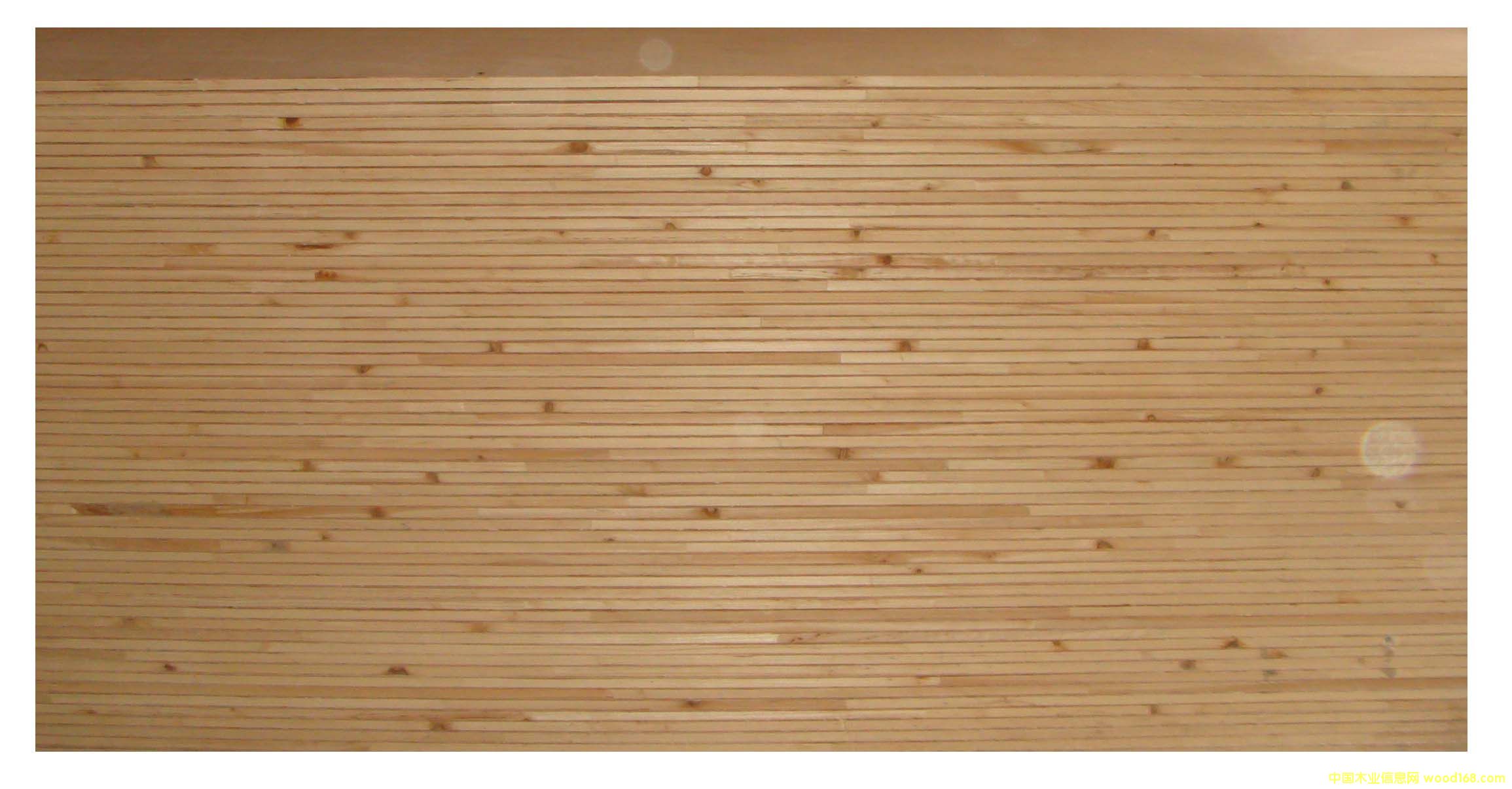 ɼľ��(x��)ľ�����Ԕ��(x��)��B