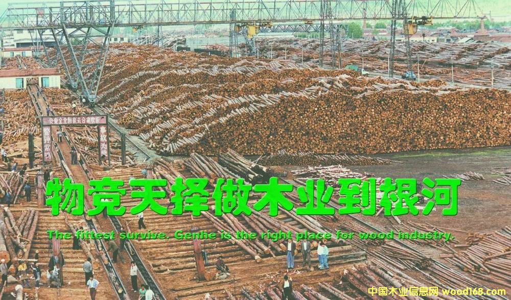 ԭľ؛��(ch��ng)��Ԕ��(x��)��B