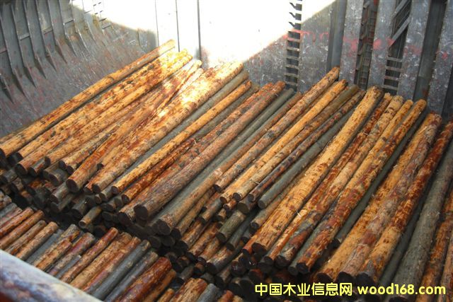 �����ɵ�Ԕ��(x��)��B