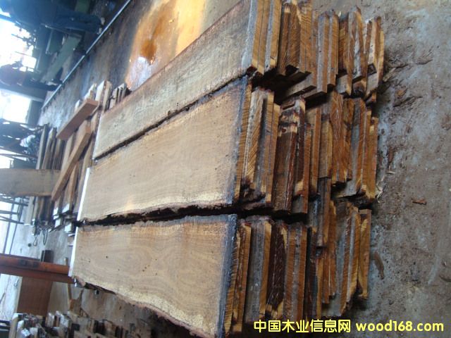 �c���鿴��Ȼ�����L������ľ��ķŴ�DƬ