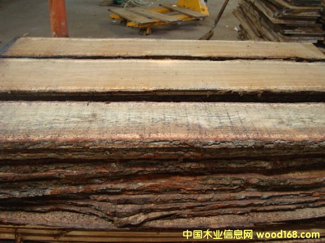 �c���鿴��Ȼ�����L������ľ���2�Ŵ�DƬ