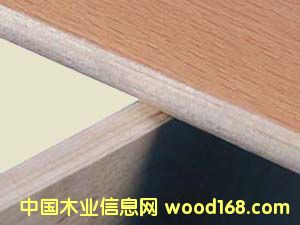 ��(sh��)֬����l11