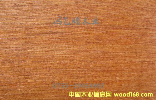 ɽ��ľ��Ԕ��(x��)��B