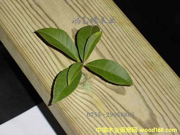 �Ϸ��ɵ�Ԕ��(x��)��B