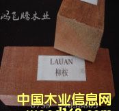 ����ľ��Ԕ��(x��)��B