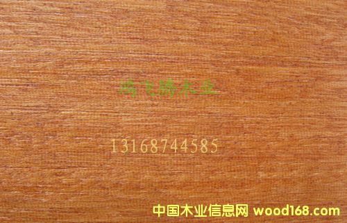 ɽ�ľ��Ԕ����B