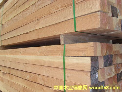 �c���鿴������ľ�Ŵ�DƬ