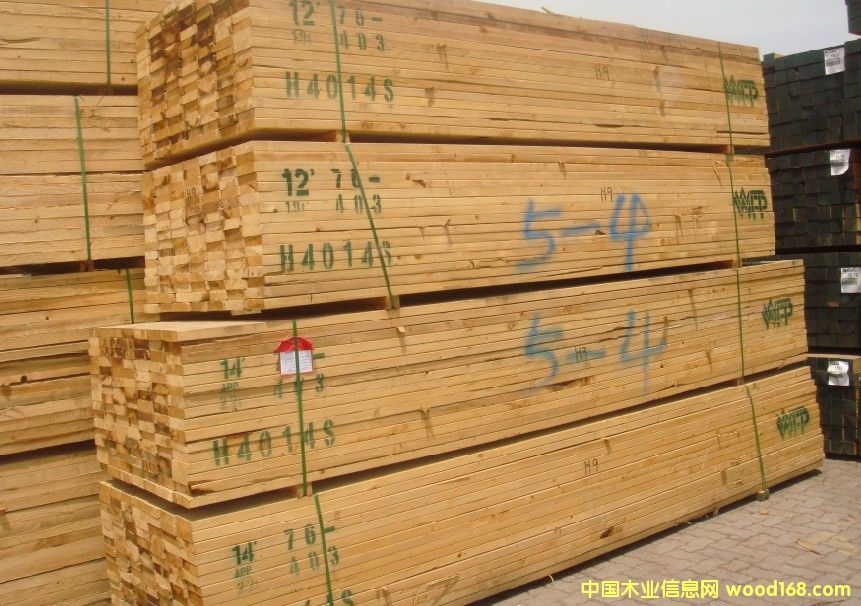 �M�ڱ����Fɼ