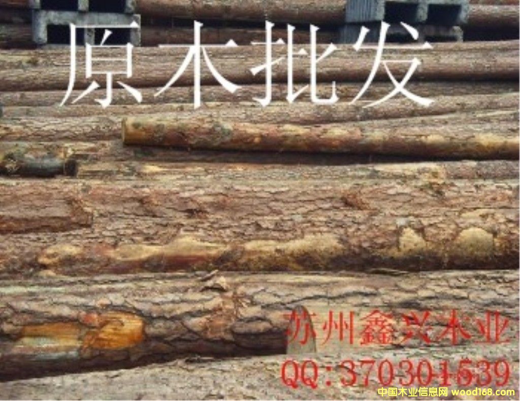 ԭľ���l(f��)��Ԕ��(x��)��B