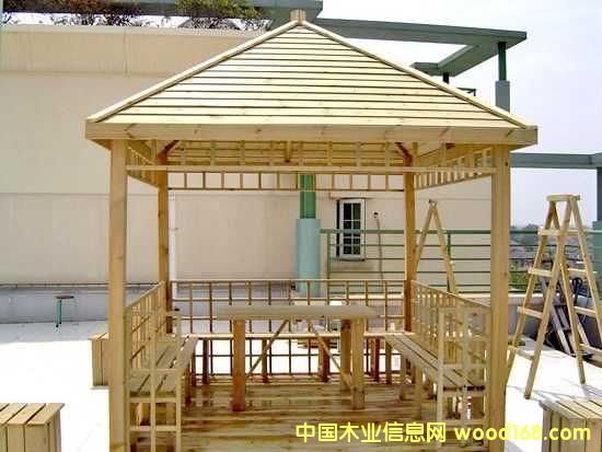 �c���鿴ľ��ͤ�Ŵ�DƬ