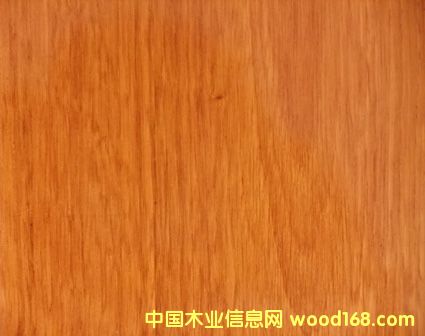 ��������Ԕ��(x��)��B