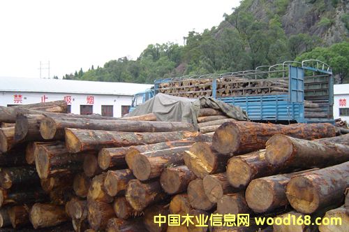 о���Ԕ��(x��)��B