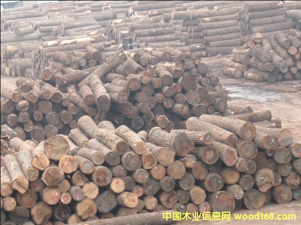 о���Ԕ��(x��)��B