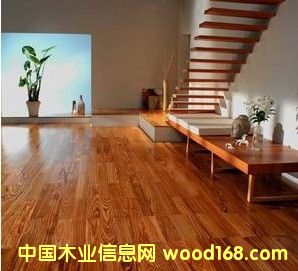 �c���鿴�ذ�Ŵ�DƬ