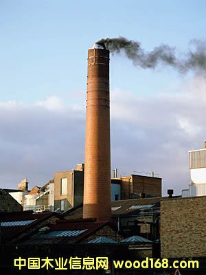 ����̽��������z��