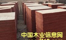 ���xɼľ�а��Ԕ��(x��)��B