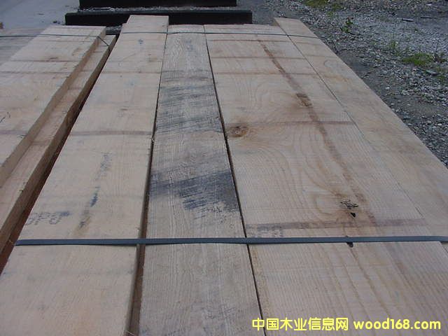 ����(gu��)�t��