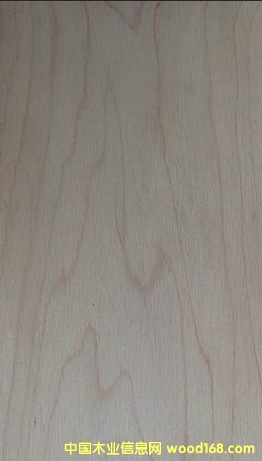 ��З�ľ��(sh��)ľ����