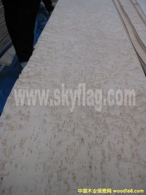 ����ľƤ������Ʒ--0.6��ľȸ��