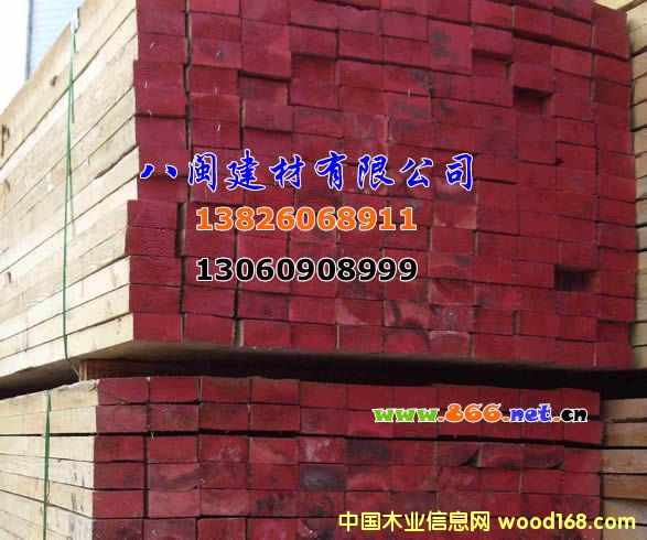 ����-���׷�ľ��Ԕ��(x��)��B