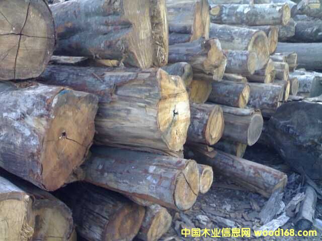 �׿�1��Ԕ��(x��)��B