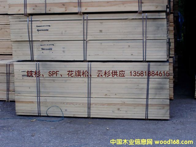 �c���鿴�W��  ��ɼ spruce ��ķŴ�DƬ