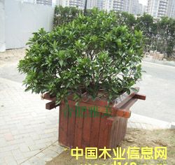 �c(di��n)���鿴���@����Ŵ�DƬ