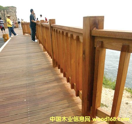 ��������ľ��Ԕ��(x��)��B