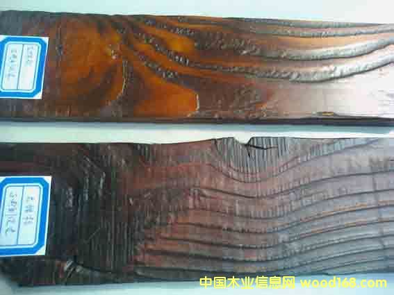 �ŵ�̼yľ��Ԕ��(x��)��B