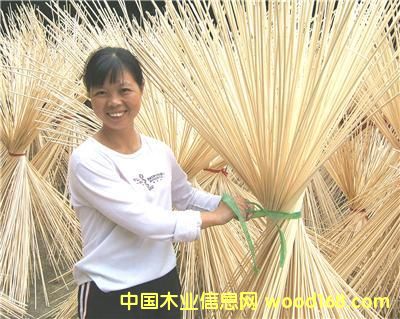 ������Ԕ��(x��)��B