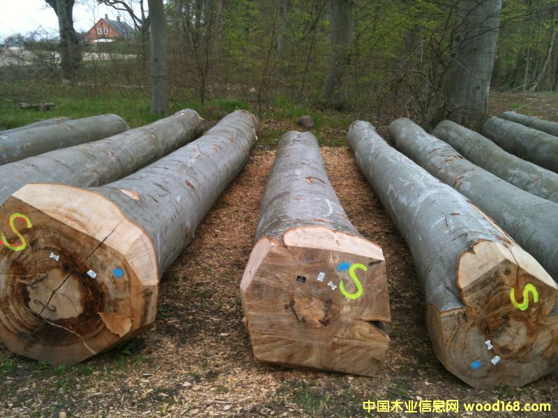 ��ľ��Ԕ��(x��)��B