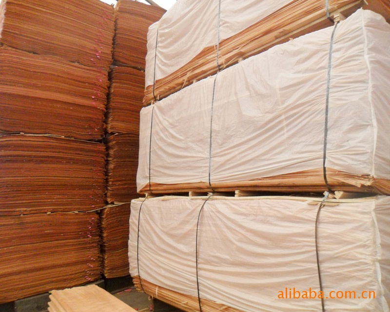 �t��ΰ��Ԕ��(x��)��B