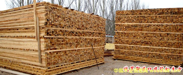 ľ����Ԕ��(x��)��B