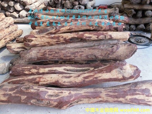 ̫�}���M(j��n)���R�_(d��)��˹���S̴/�Fľ��/��̴�M(j��n)�ڈ��P(gu��n)