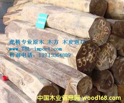 ��ߘ��M(j��n)��ӡ���ľ/�L(f��ng)܇ľ/���}��ԭľ�M(j��n)�ڈ��P(gu��n)