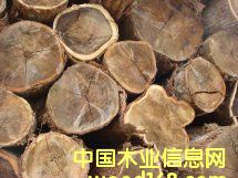 ������ԭľ��Ԕ��(x��)��B