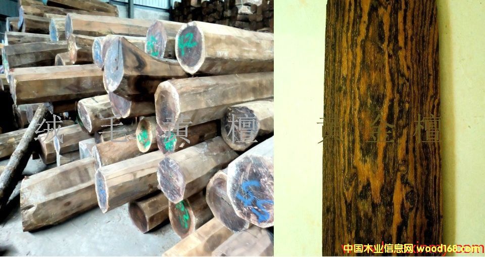 �që�S̴ �S��̴��Ԕ��(x��)��B