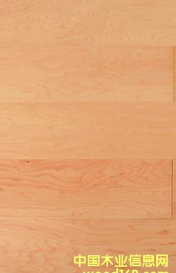 �؃r(ji��)��������(y��ng)��(y��u)�|(zh��)�ӗ����ӌ�(sh��)ľ��(f��)�ϵذ����m�ϳ���