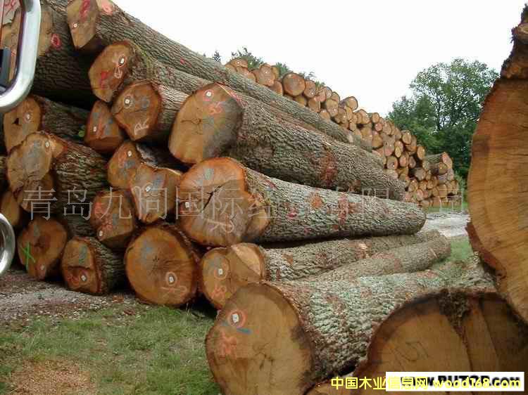 �c���鿴ԭľ�ȷŴ�DƬ