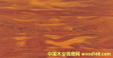 �c(di��n)���鿴����l(w��i)ì�Ŵ�DƬ